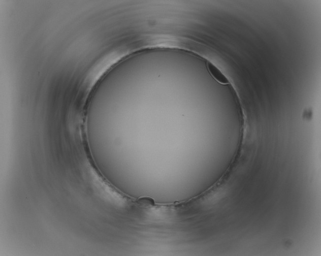 X0000112890901200909181909