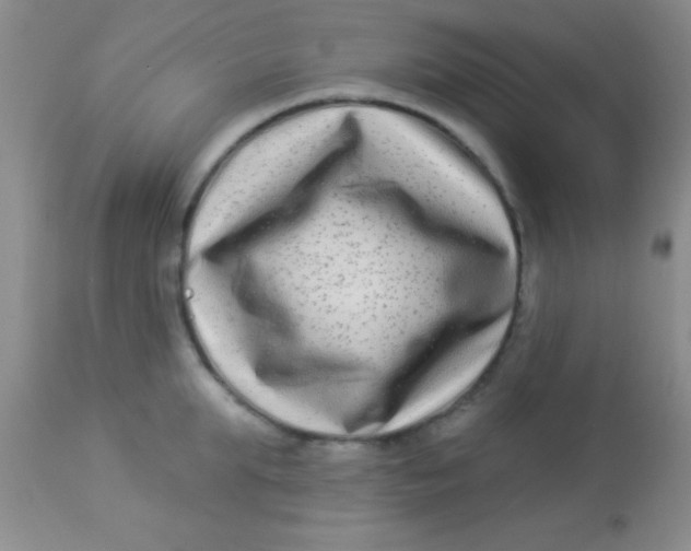 X0000112890903200909181909