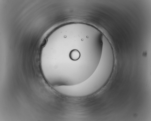 X0000112890904200909181909
