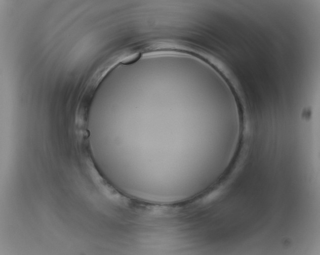 X0000112890905200909181909