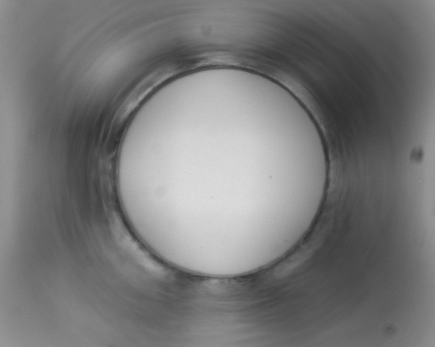 X0000112890906200909181909