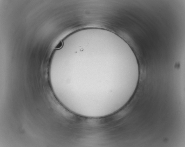 X0000112890908200909181909