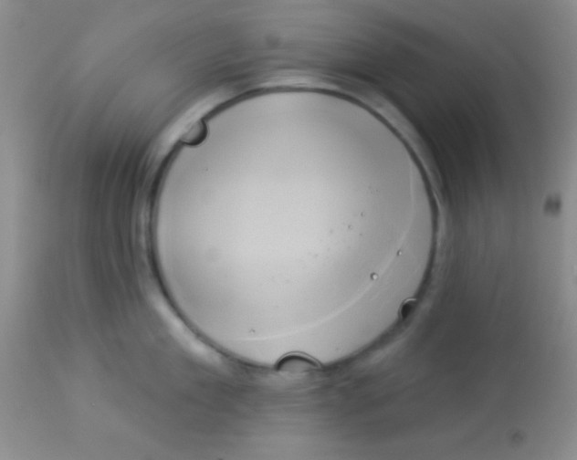 X0000112890909200909181909