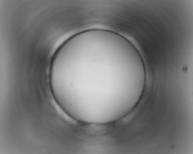X0000112890910200909181909