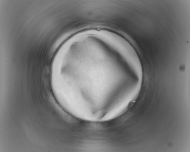 X0000112890911200909181909
