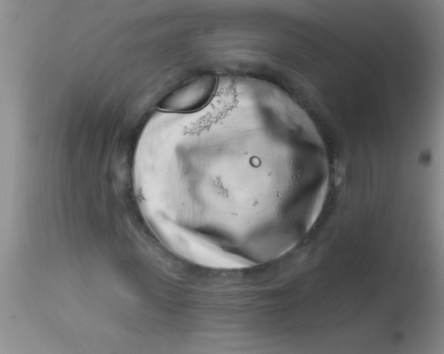 X0000112890915200909181908