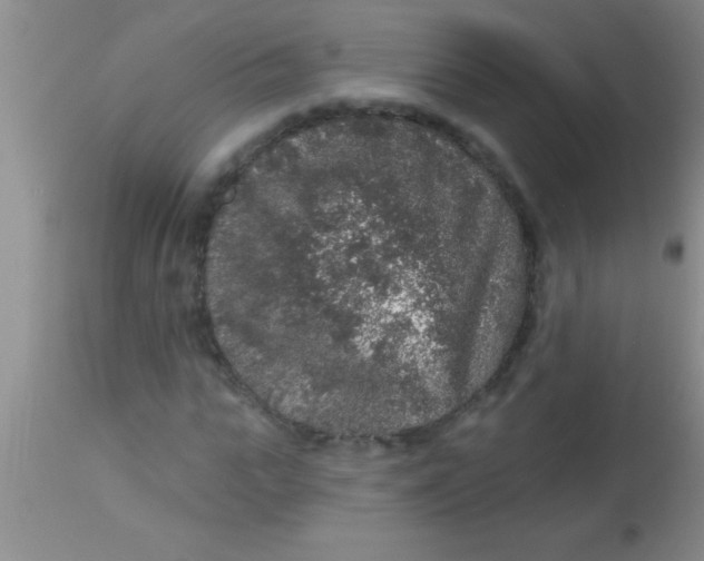 X0000112890919200909181908
