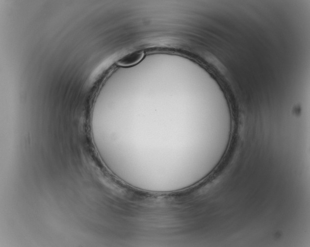 X0000112890922200909181908