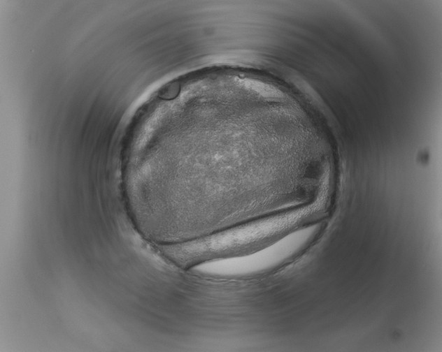 X0000112890923200909181908