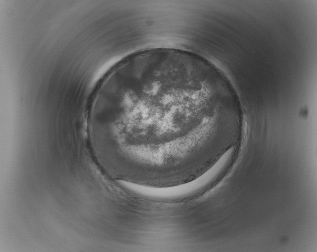 X0000112890925200909181908
