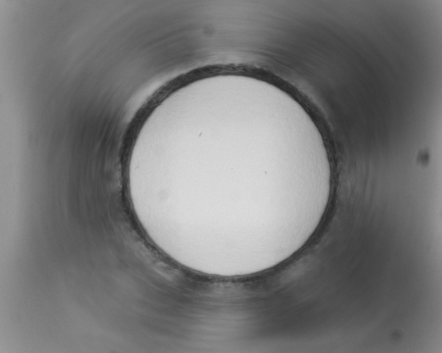 X0000112890927200909181909