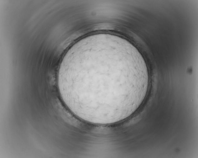 X0000112890929200909181909