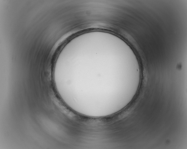 X0000112890931200909181909