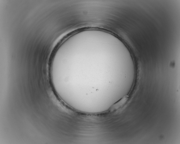 X0000112890932200909181909
