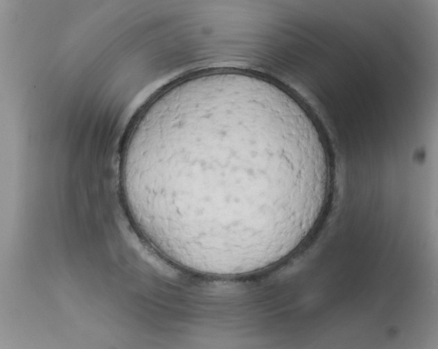 X0000112890933200909181909