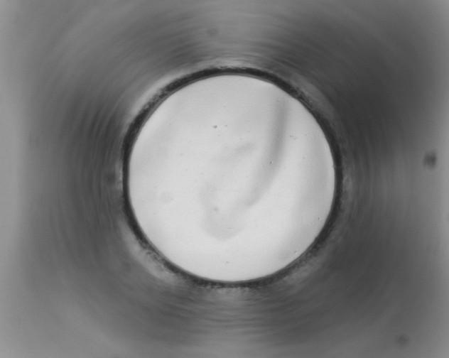 X0000112890934200909181909