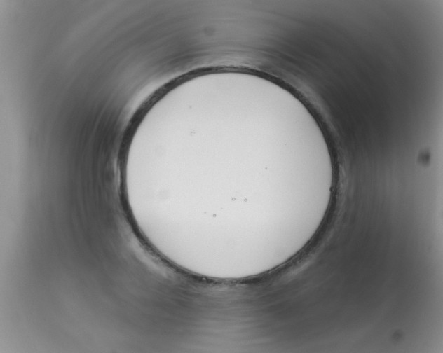 X0000112890936200909181909