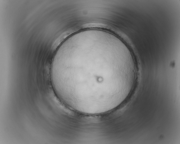 X0000112890937200909181909