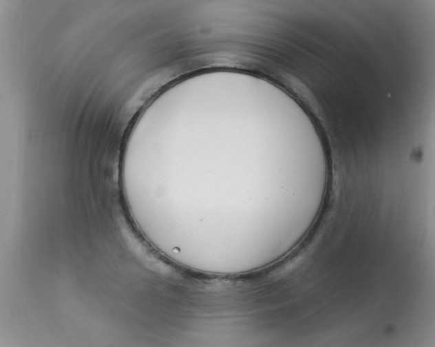 X0000112890938200909181909