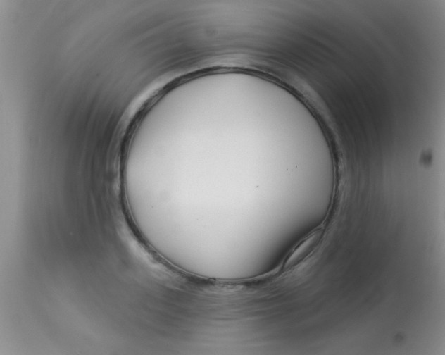 X0000112890939200909181909
