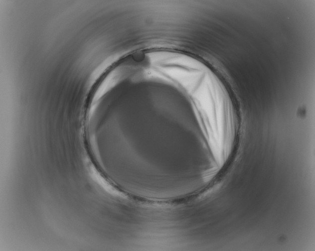 X0000112890941200909181909