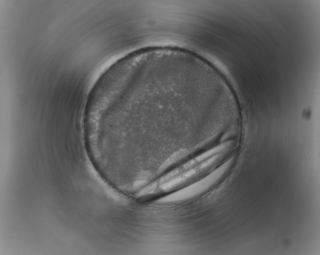 X0000112890943200909181909