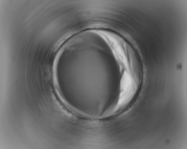 X0000112890945200909181909