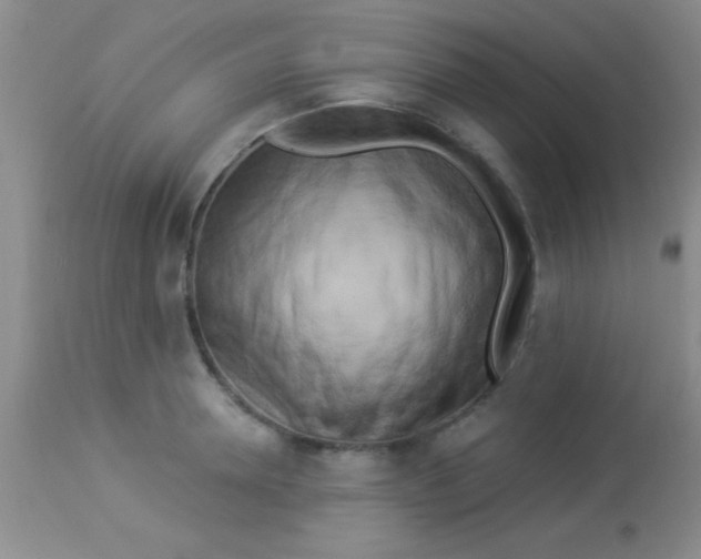 X0000112890946200909181909