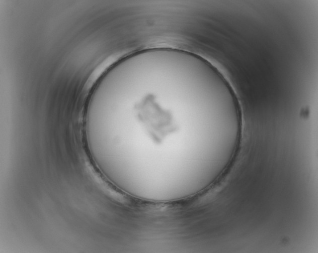X0000112890949200909181909