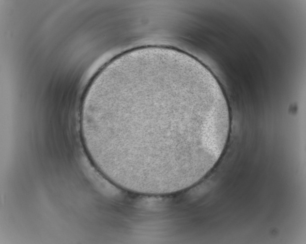 X0000112890950200909181909