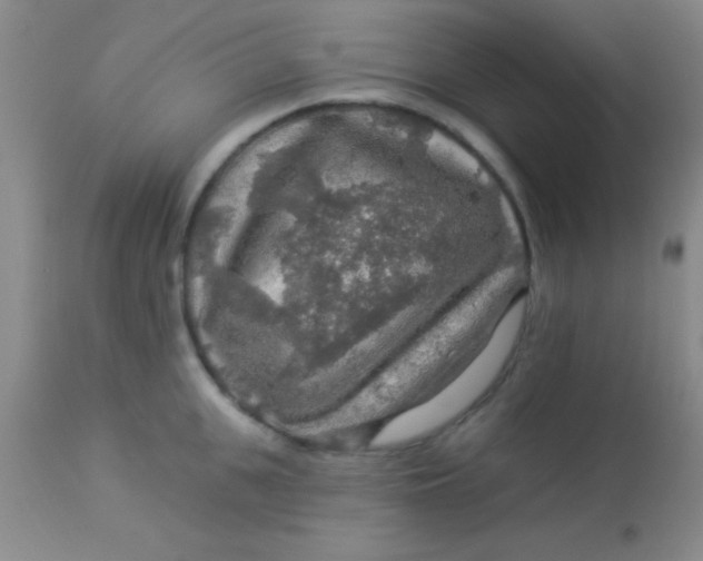 X0000112890951200909181909