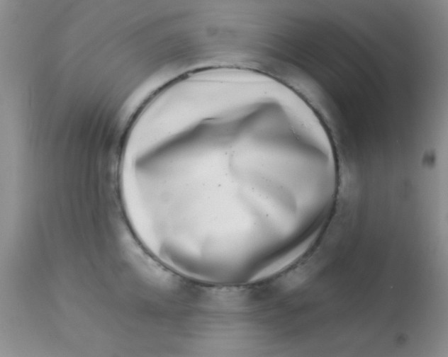 X0000112890952200909181909