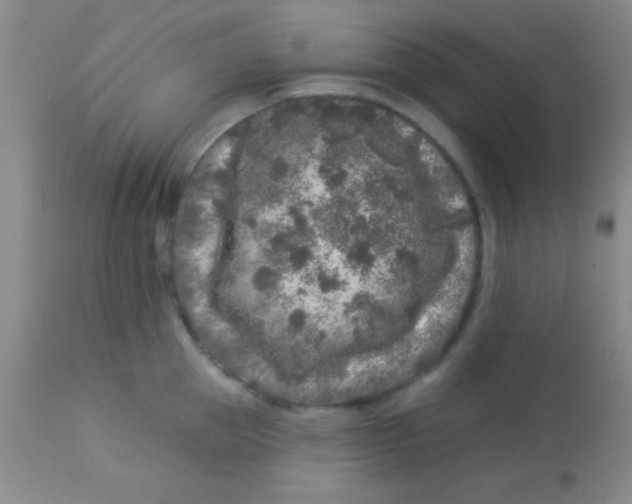 X0000112890953200909181909