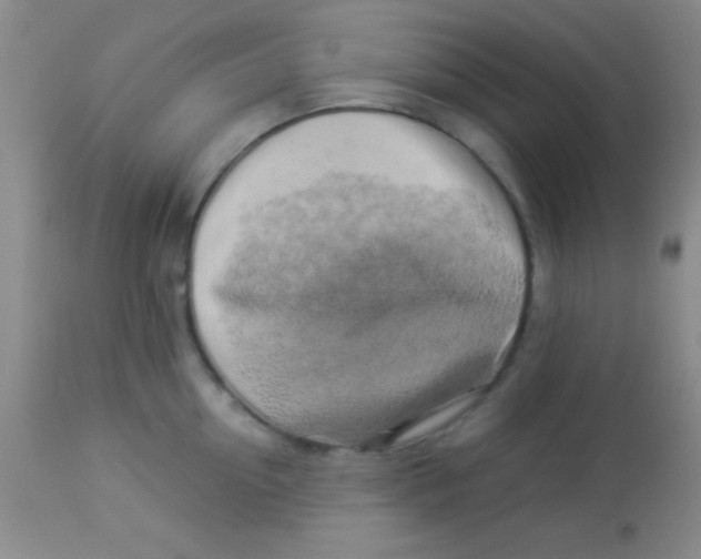 X0000112890954200909181909