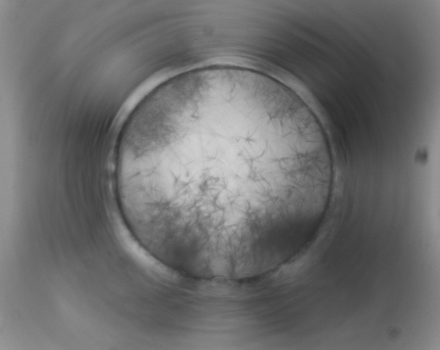 X0000112890955200909181909