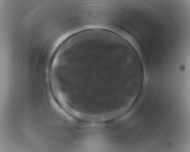 X0000112890958200909181909