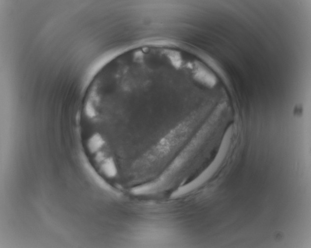 X0000112890959200909181909