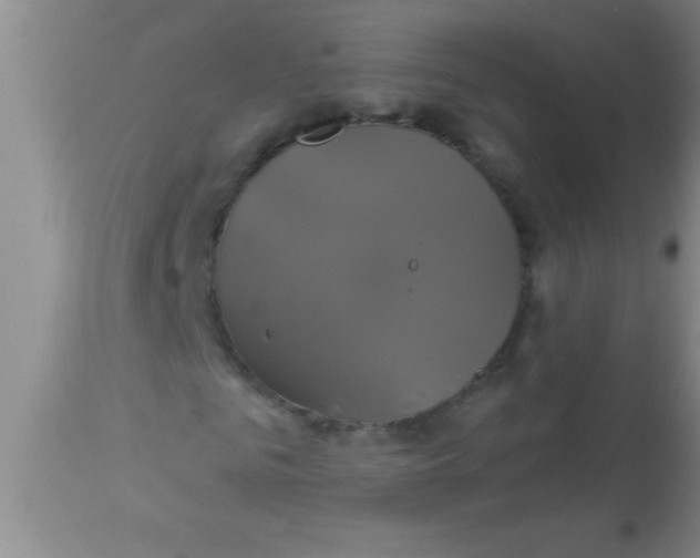 X0000112890961200909181908