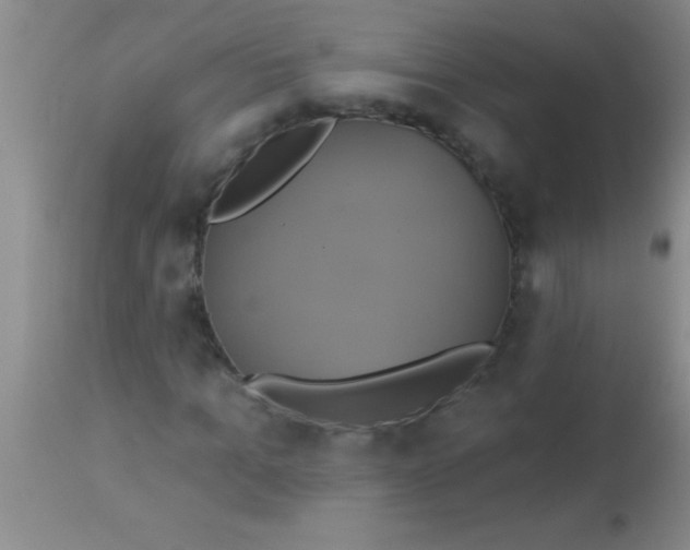 X0000112890965200909181908