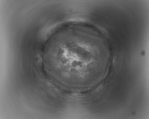 X0000112890966200909181908