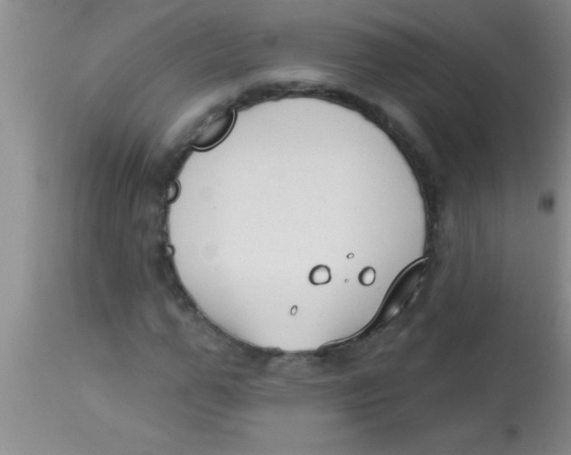 X0000112890967200909181908