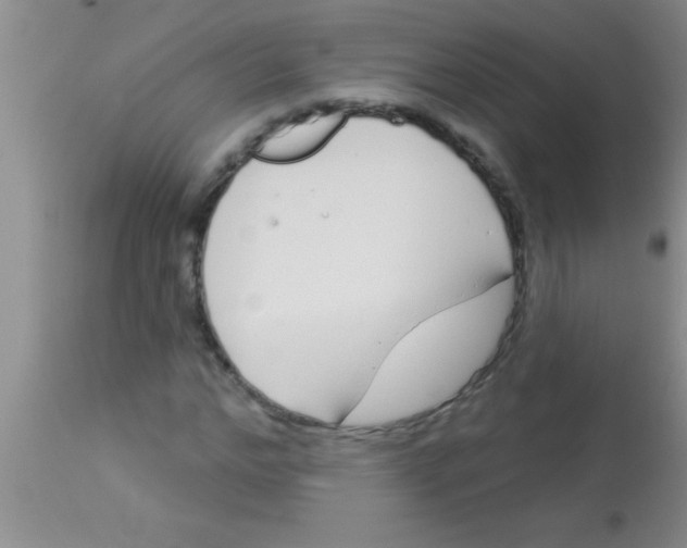 X0000112890968200909181908