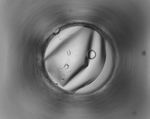 X0000112890969200909181908