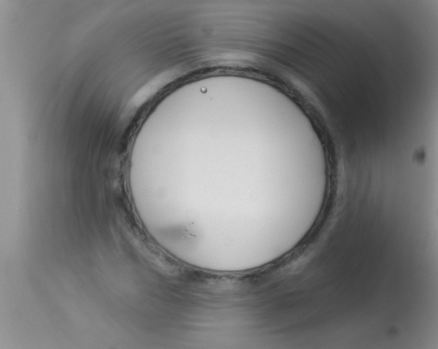 X0000112890970200909181908