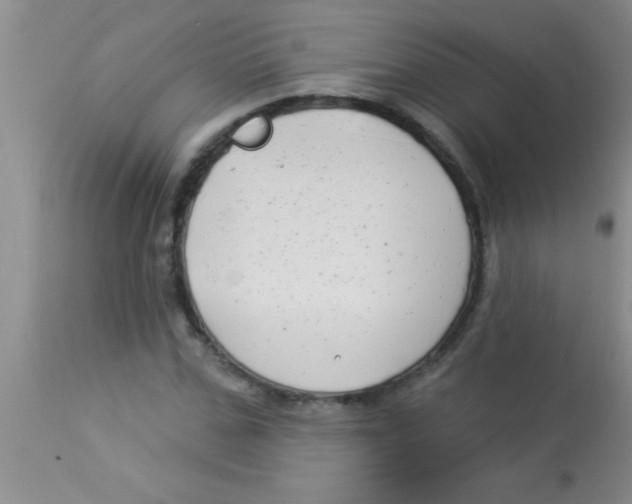 X0000112890971200909181908