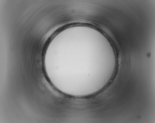 X0000112890972200909181908