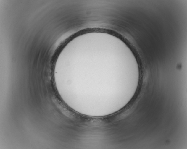 X0000112890974200909181908