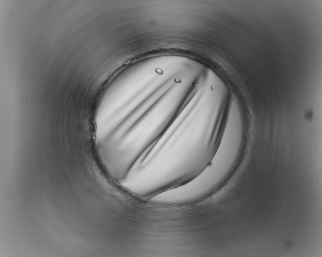 X0000112890977200909181908
