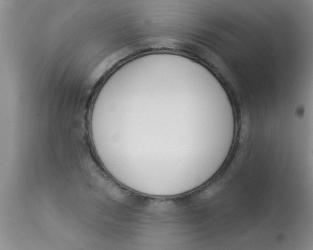 X0000112890978200909181908