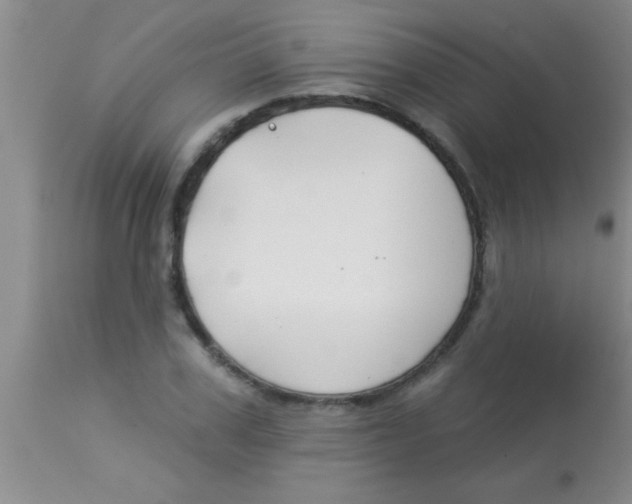 X0000112890979200909181908